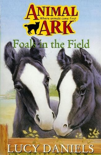 Animal Ark 28: Foals in the Field by Daniels, Lucy Paperback Book The Fast FreeFREE US DELIVERY | ISBN: 0340699493 | Quality Books