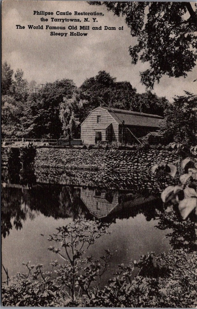Sleepy Hollow Old Mill Dam Postcard Philipse Castle Tarrytown NY Albertype