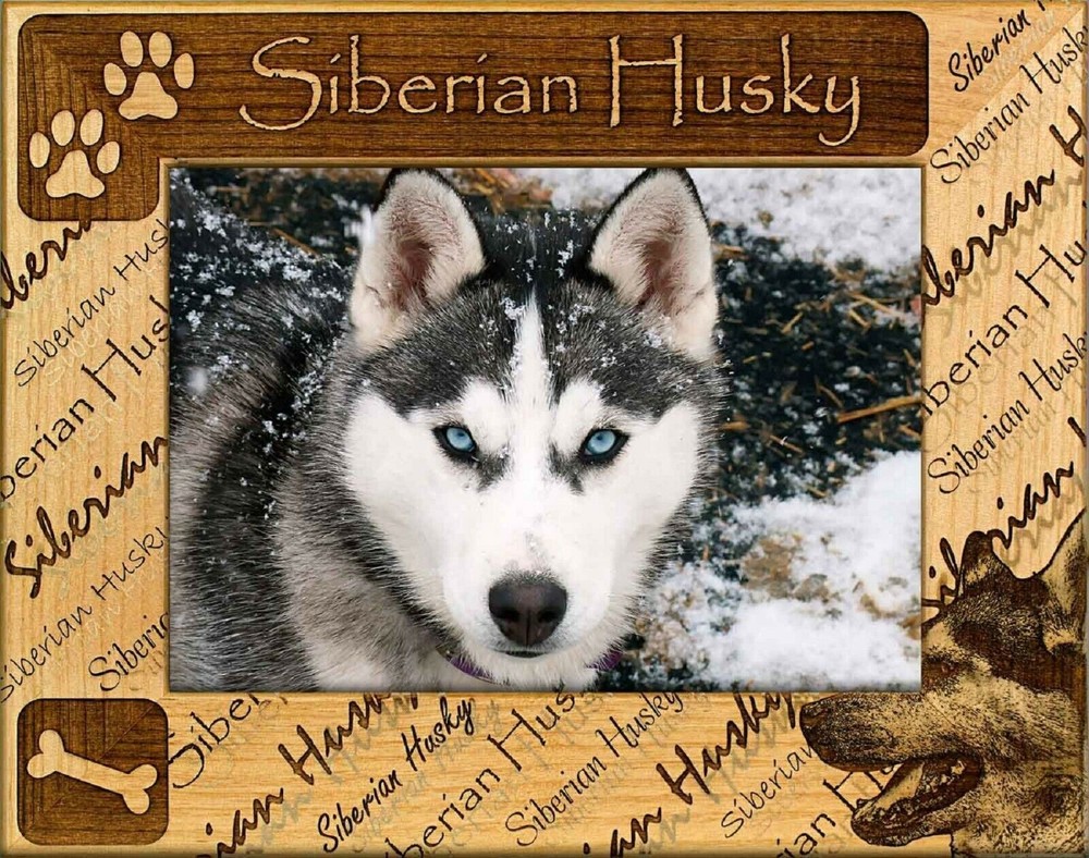 Siberian Husky Laser Engraved Wood Picture Frame Landscape (4 x 6)