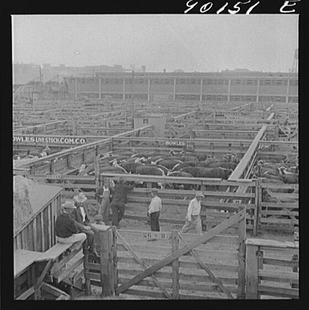 Union Stockyards,Omaha,Douglas County,Nebraska,NE,Marion Post Wolcott,FSA,11
