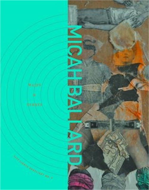 Waifs and Strays (Paperback or Softback)