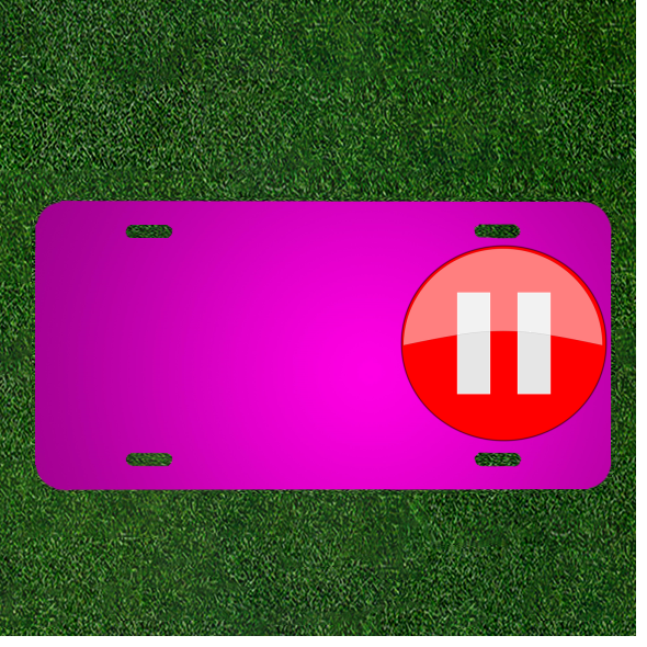 Custom Car License Plate with Personalized Name Buttons for Pause Stop