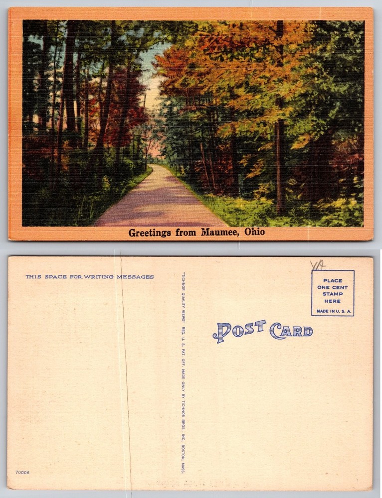 Vintage Linen Postcard Maumee Ohio Scenic Autumn Path Tichnor Bros.