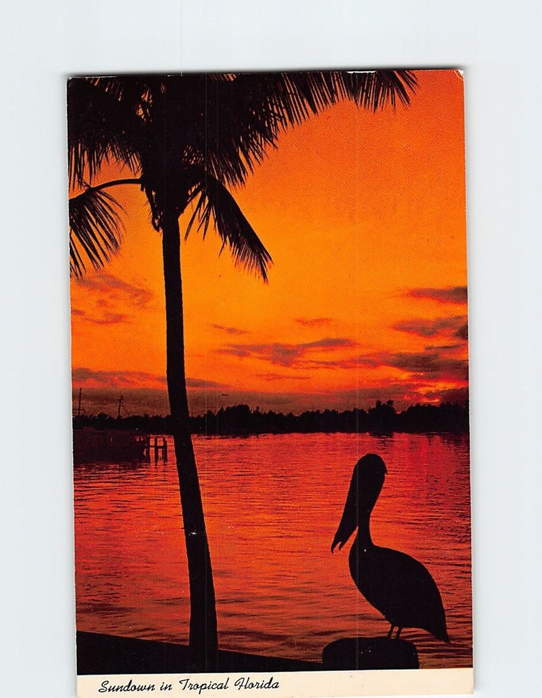 Postcard Sundown in Tropical Florida USA