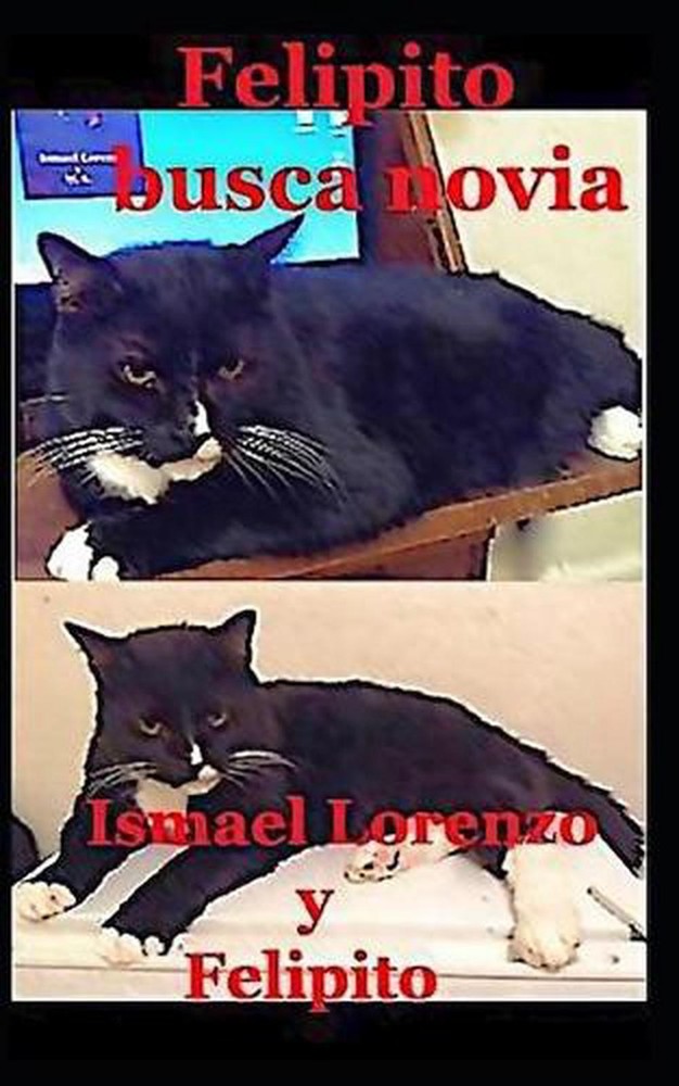 Felipito busca novia by Ismael Lorenzo (Spanish) Paperback Book