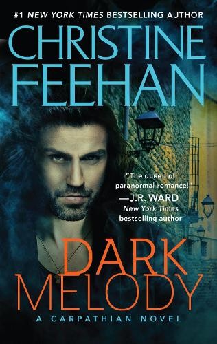 Christine Feehan Dark Melody (Paperback)Another great item from Rarewaves USA | Free delivery!