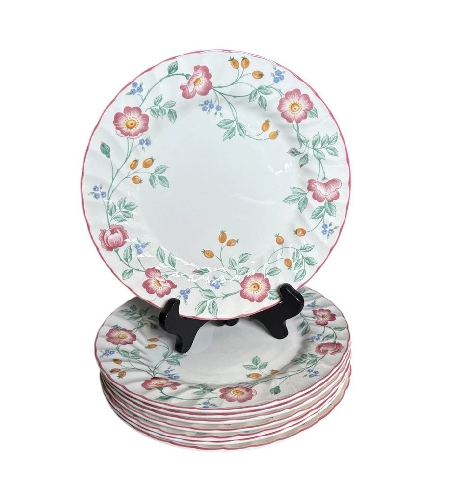 Churchill BRIAR ROSE Pink Staffordshire England DINNER PLATES 10