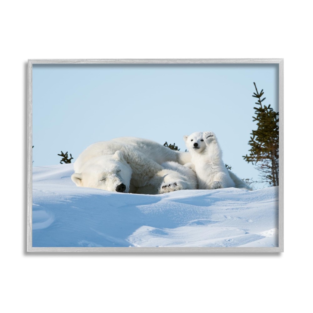 Polar Bear Cub with Mom Framed Giclee Art by Philip Marazzi