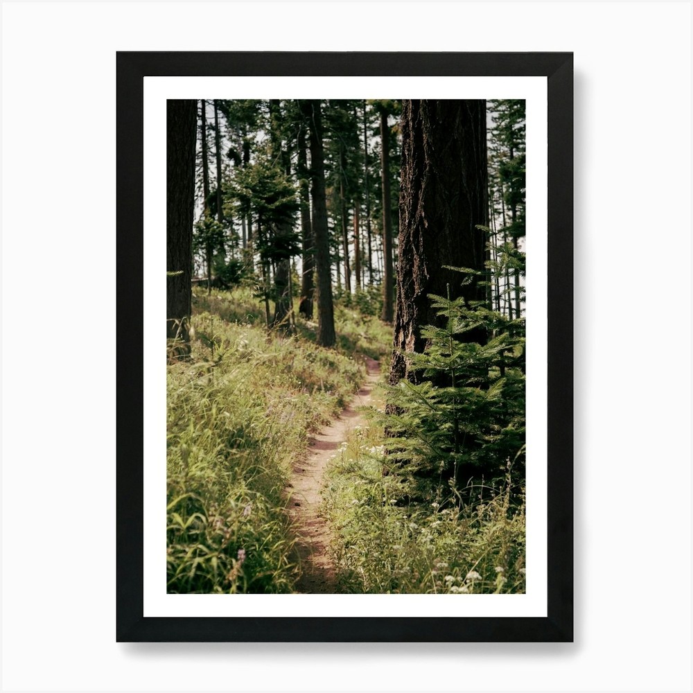 Through the Woods Art Print Framed Wall Art Poster Canvas Print Picture