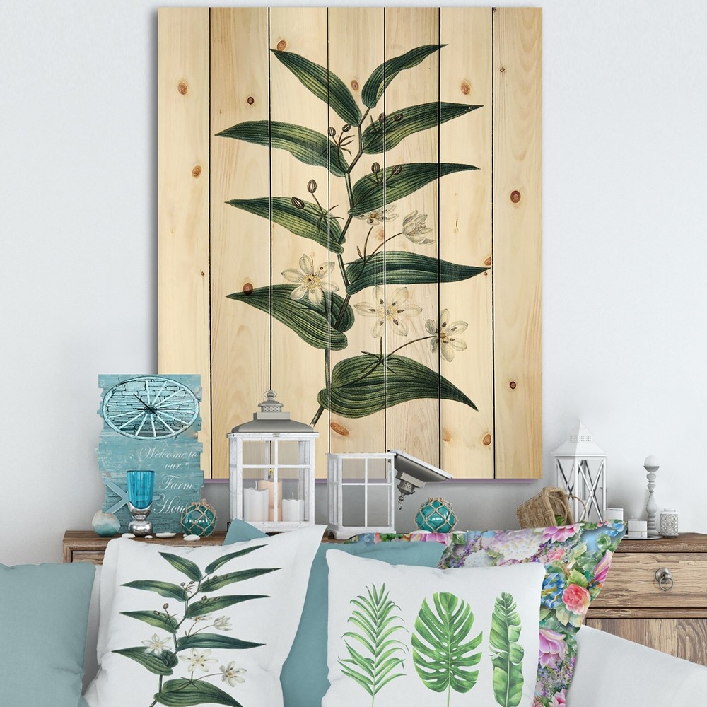 Designart 'Vintage Plant With Little White Flowers'