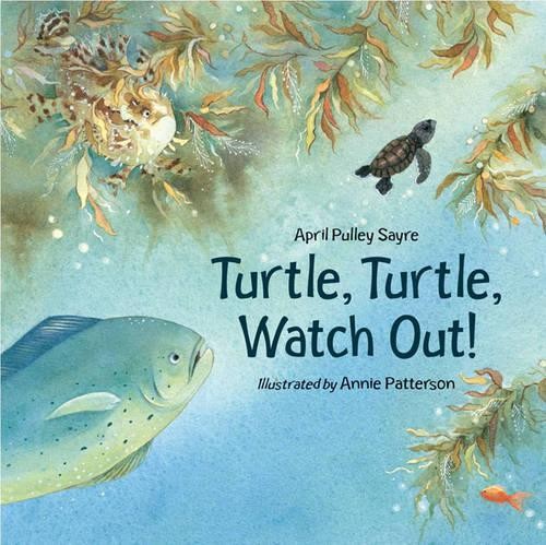 April Pulley Sayre Turtle, Turtle, Watch Out! (Paperback)Another great item from Rarewaves USA | Free delivery!