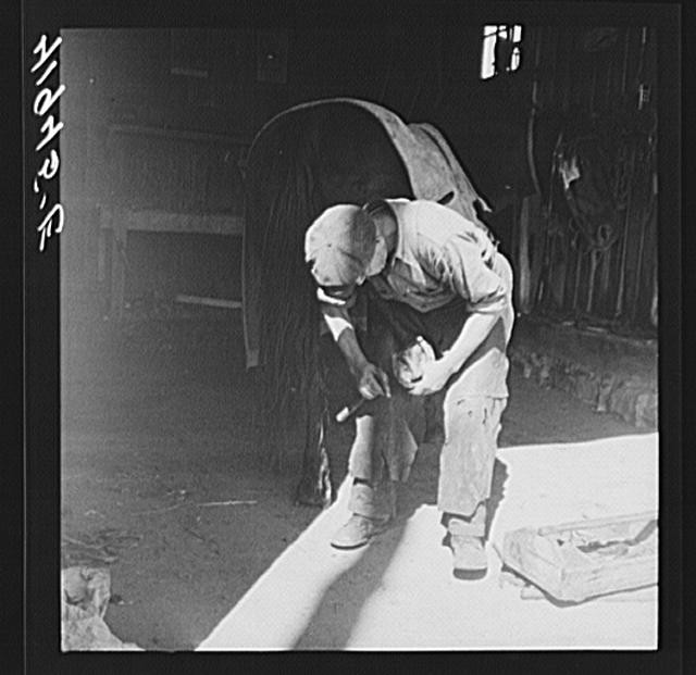 Wallingford Connecticut 1940 Emerson J Leonard Farm Man Shoeing Horse