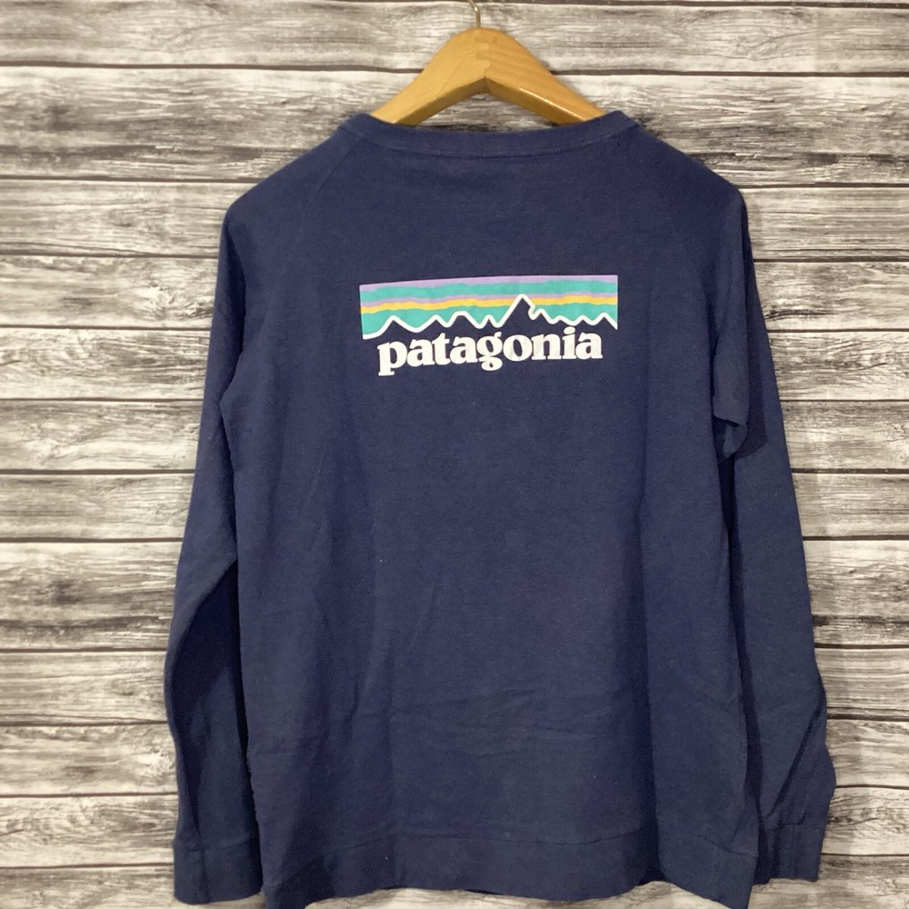 Patagonia Shirt Mens Medium Blue Long Sleeve Responsibili-tee Regular Fit Tee