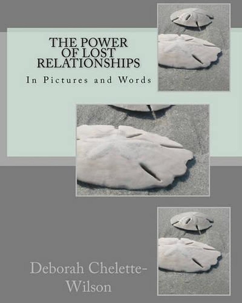 The Power of Lost Relationships by Deborah Chelette-Wilson Lpc (English) Paperba