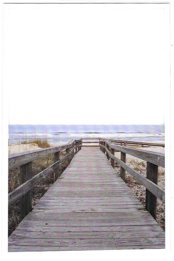 NEW Nautical Seaside Beach Ocean Coastal Themed Postcard