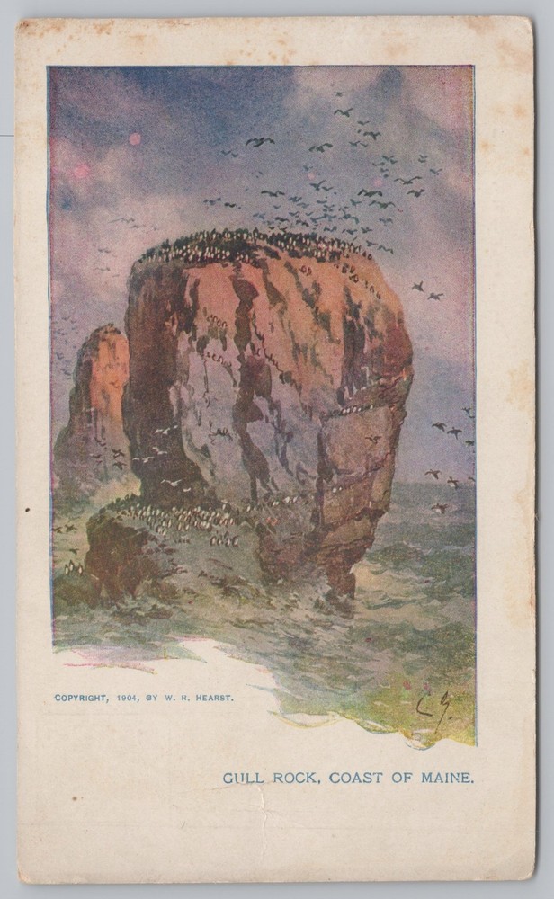 State View~Gull Rock On The Coast of Maine~Vintage Postcard