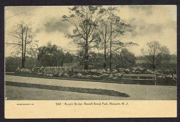 1907 Undivided RPPC Rustic Bridge Brook Park Newark NJ