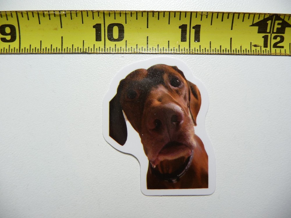 Cute Funny Pardon Me Dog Sticker Decal AX150 Small Pet Fun