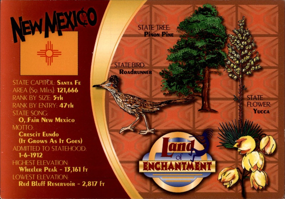 New Mexico Santa Fe multiview State Tree Pinon Pine bird Roadrunner ~ postcard