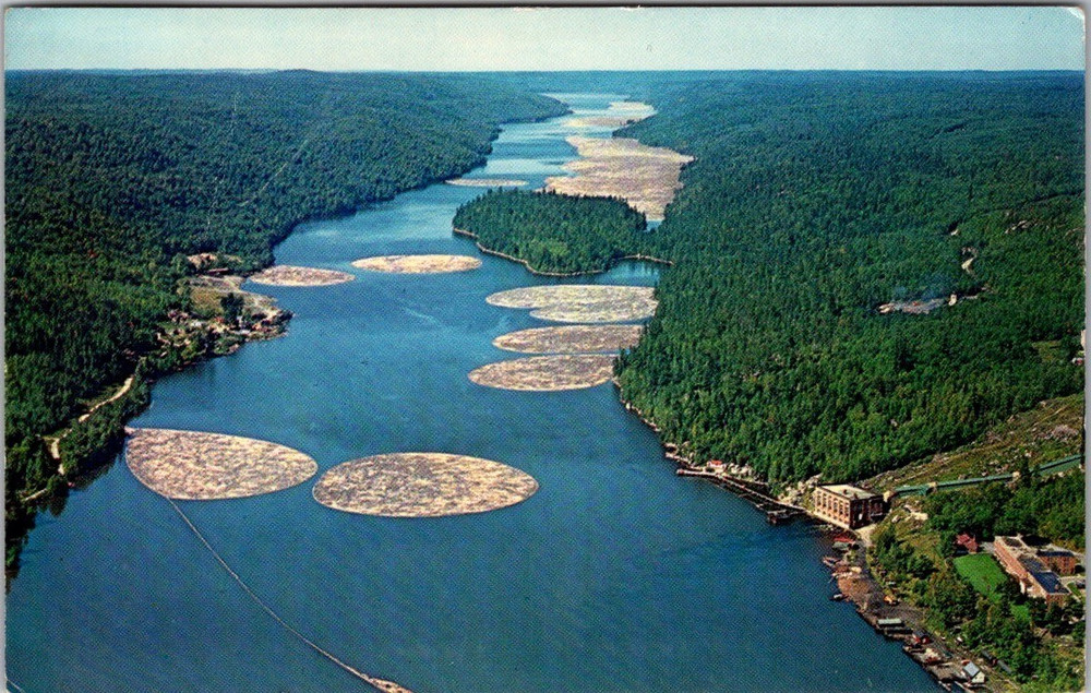 Logging on Lake Temiskaming Quebec Postcard – Canada Logging Industry