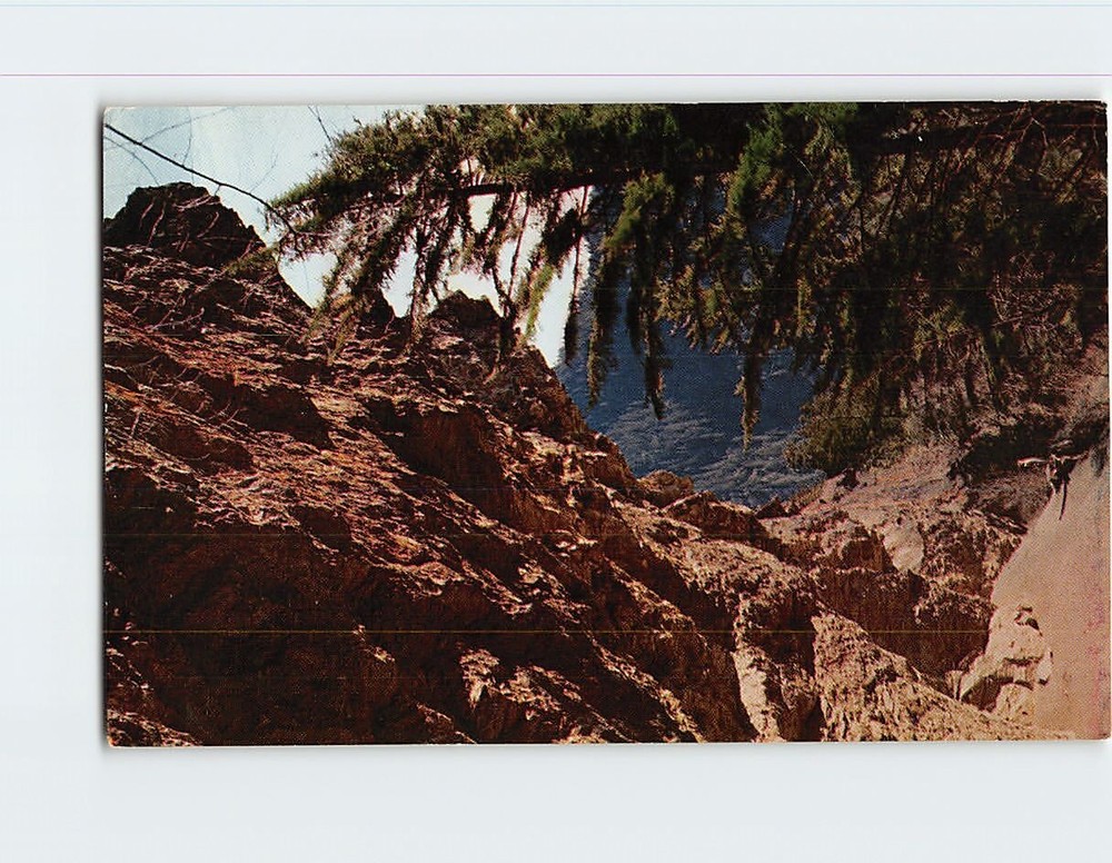 Postcard Alum Cave Bluff Great Smoky Mountains National Park Tennessee USA