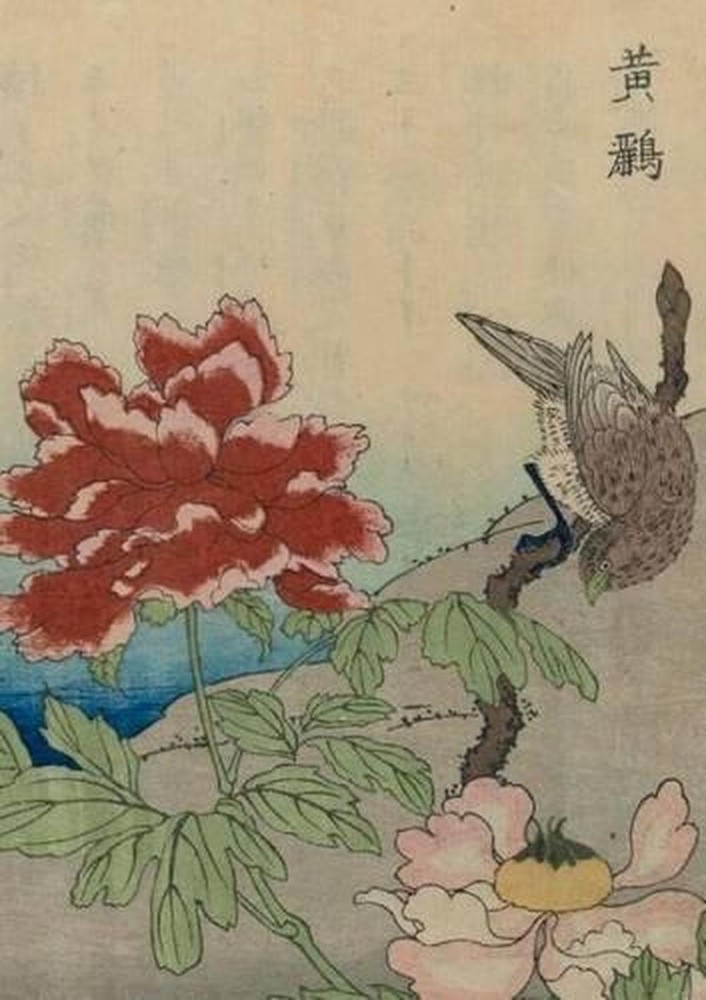 Carnet Lign, Oiseaux trangers by Seki Eibun (French) Paperback Book
