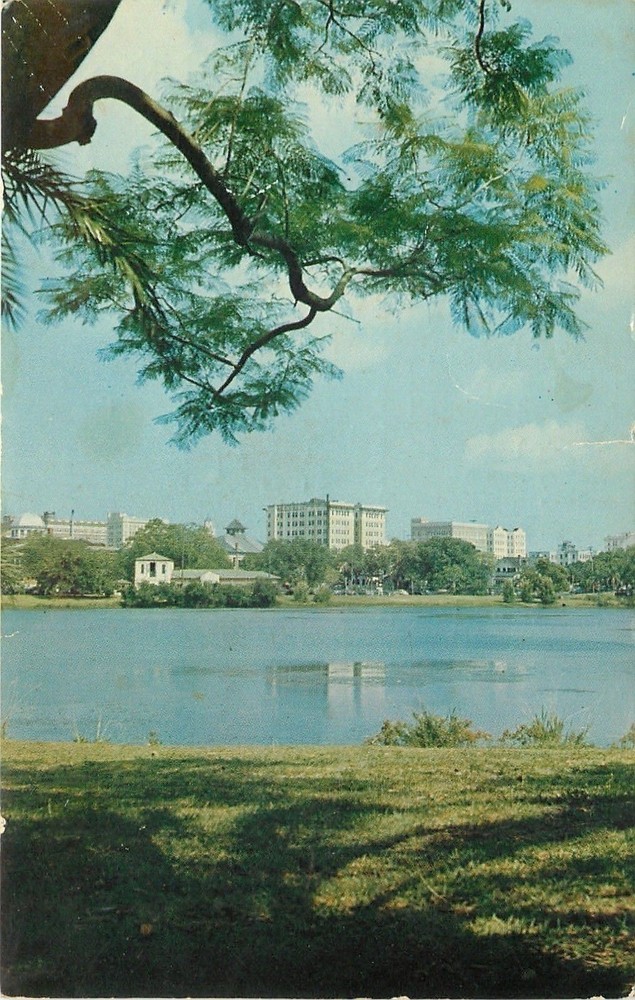 St Petersburg Florida~Mirror Lake~1957 Postcard