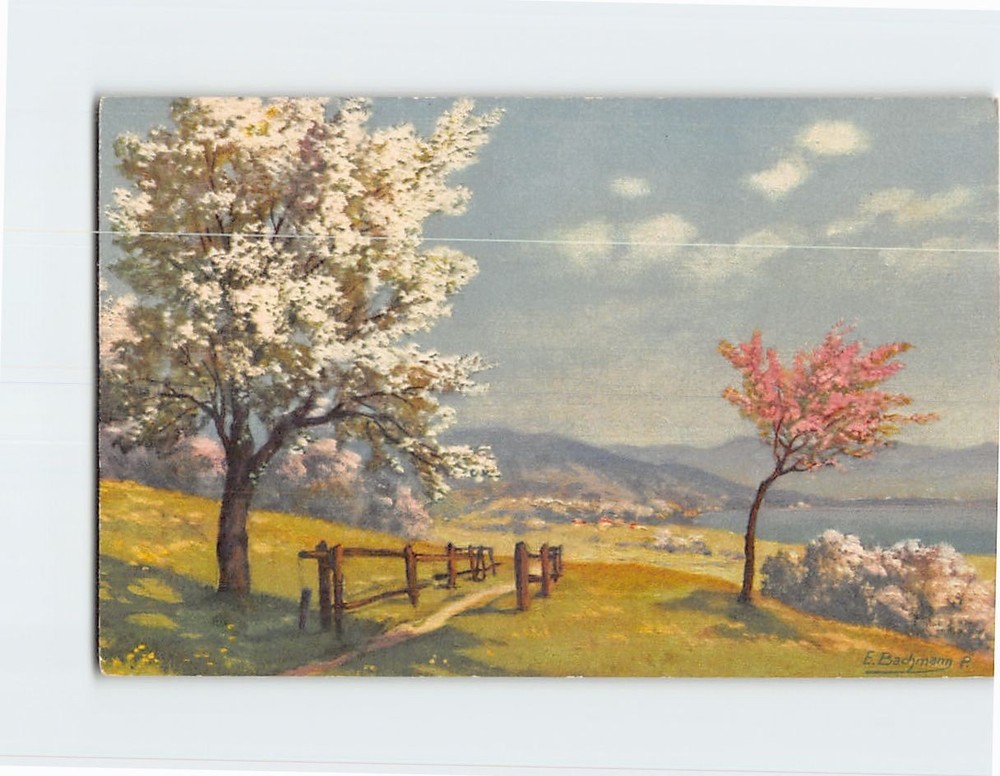 Postcard Trail Trees Landscape Scenery