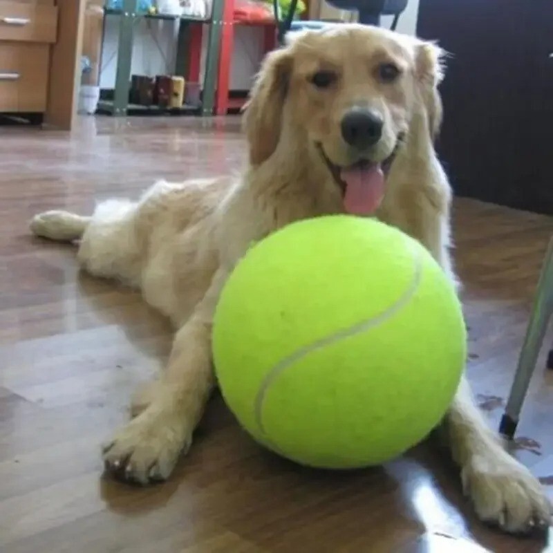 Fleece Plush Green Pet Training Tennis Ball Toys for Dog Signature Chewing