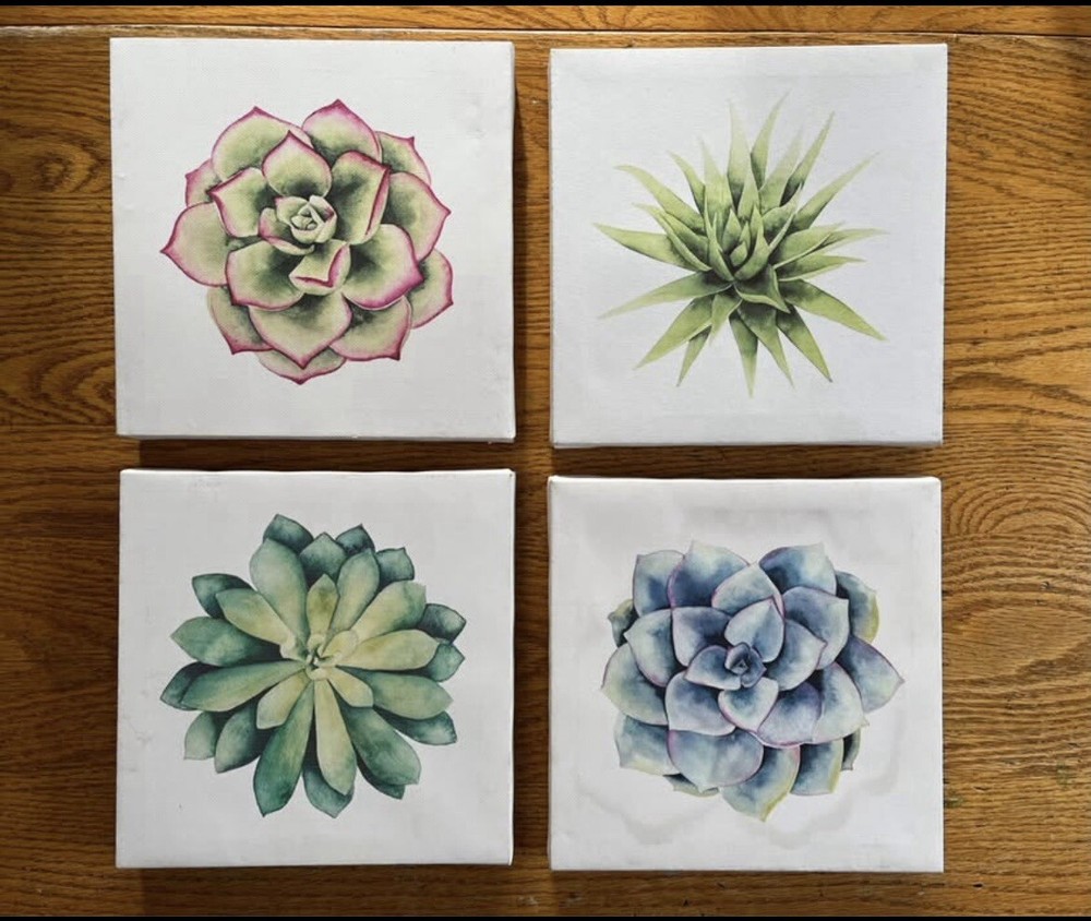 Set Of 4 Succulent Plants Canvas Wall Art Home Decor 8x8 Blue Green Pink