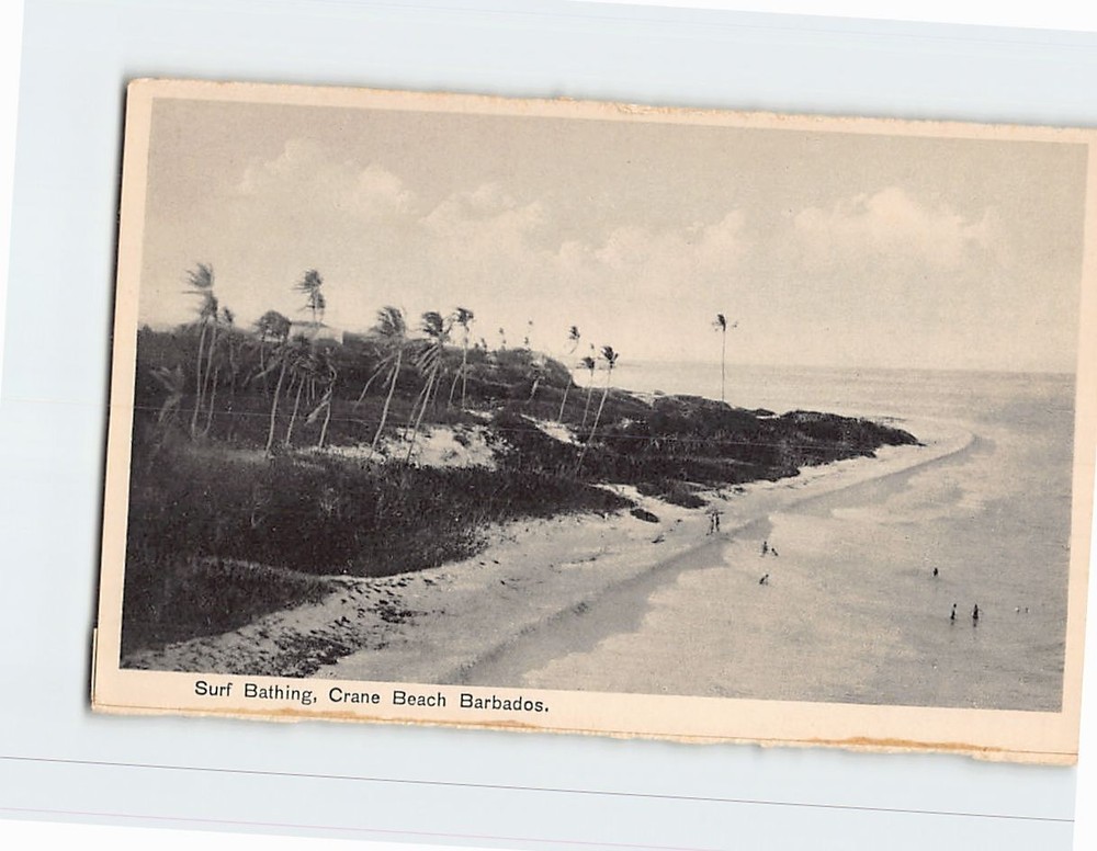 Postcard Surf Bathing Crane Beach Barbados