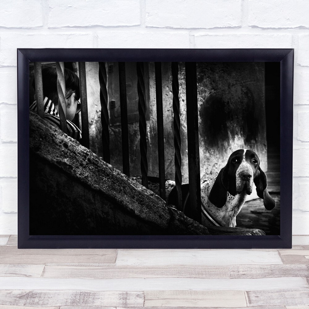 Dog Curious Peek Black & White Street Lampsbars Iron Looking Watching Print