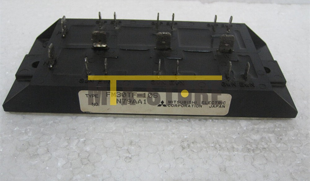 1PC Brand New Mitsubishi Module FM30TF-10S FM30TF10S Quality Assurance 100%