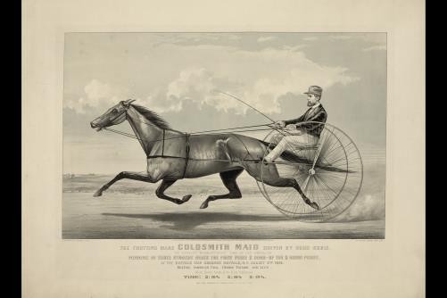 The trotting mare Goldsmith Maid driven by Budd Doble,Harness Racing,c1870
