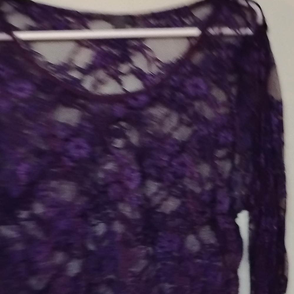 Vanity Women's Purple Floral Sheer Lace Long Sleeve Round Neck Top XL