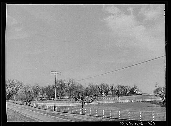 Fayette County Kentucky 1940 Horse Farm Bluegrass Country Pasture Fence
