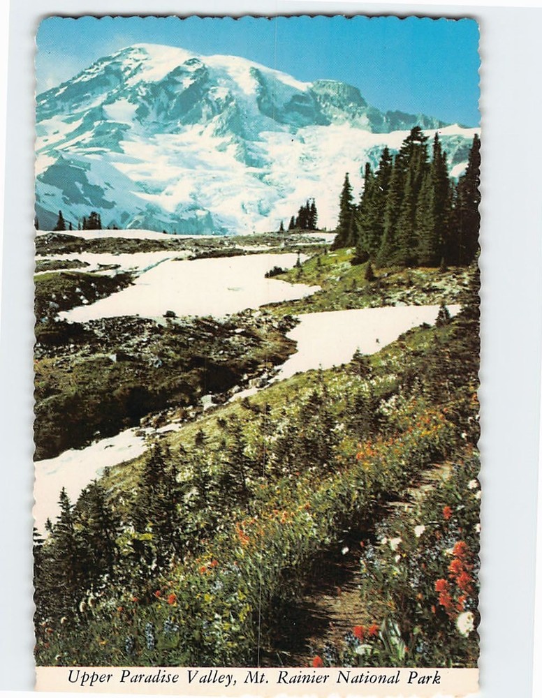 Postcard Upper Paradise Valley Mt. Rainier National Park Washington USA