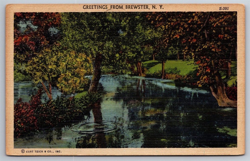 Greetings From Brewster NY C1940s Linen Postcard AB22