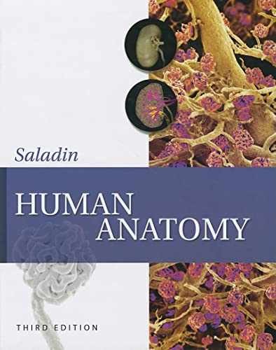 Human Anatomy - Hardcover, by Saladin Kenneth - Acceptable n
