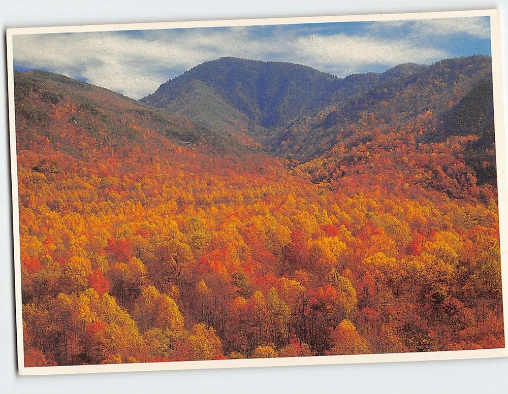 Postcard Sugarland Valley Great Smoky Mountains National Park USA