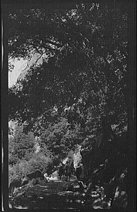 Photo:Park views of Yosemite Travel National