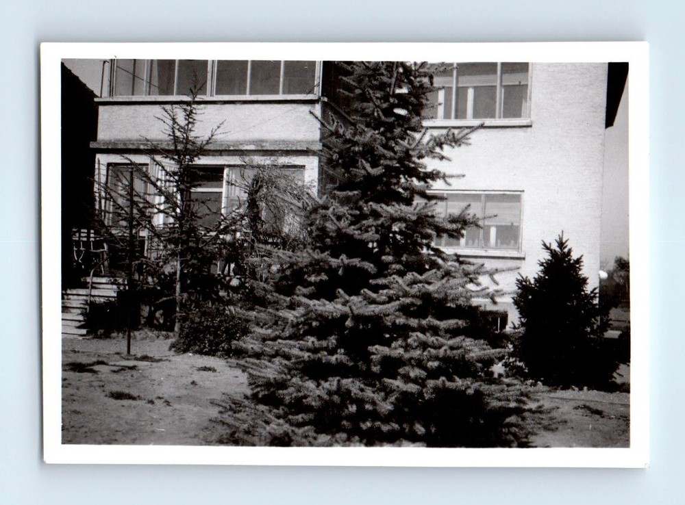Old Vintage Photo HOUSE AND TREES IN YARD ORIGINAL SNAPSHOT PHOTOGRAPH PIC
