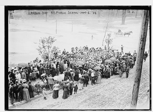 Photo:New York NY Arbor Day Tree Planting N.Y. Public Schools 1908 Crowd