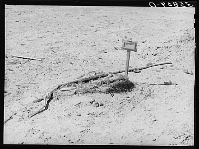 Bernalillo County,NM,New Mexico,Farm Security Administration,April 1940,FSA,2