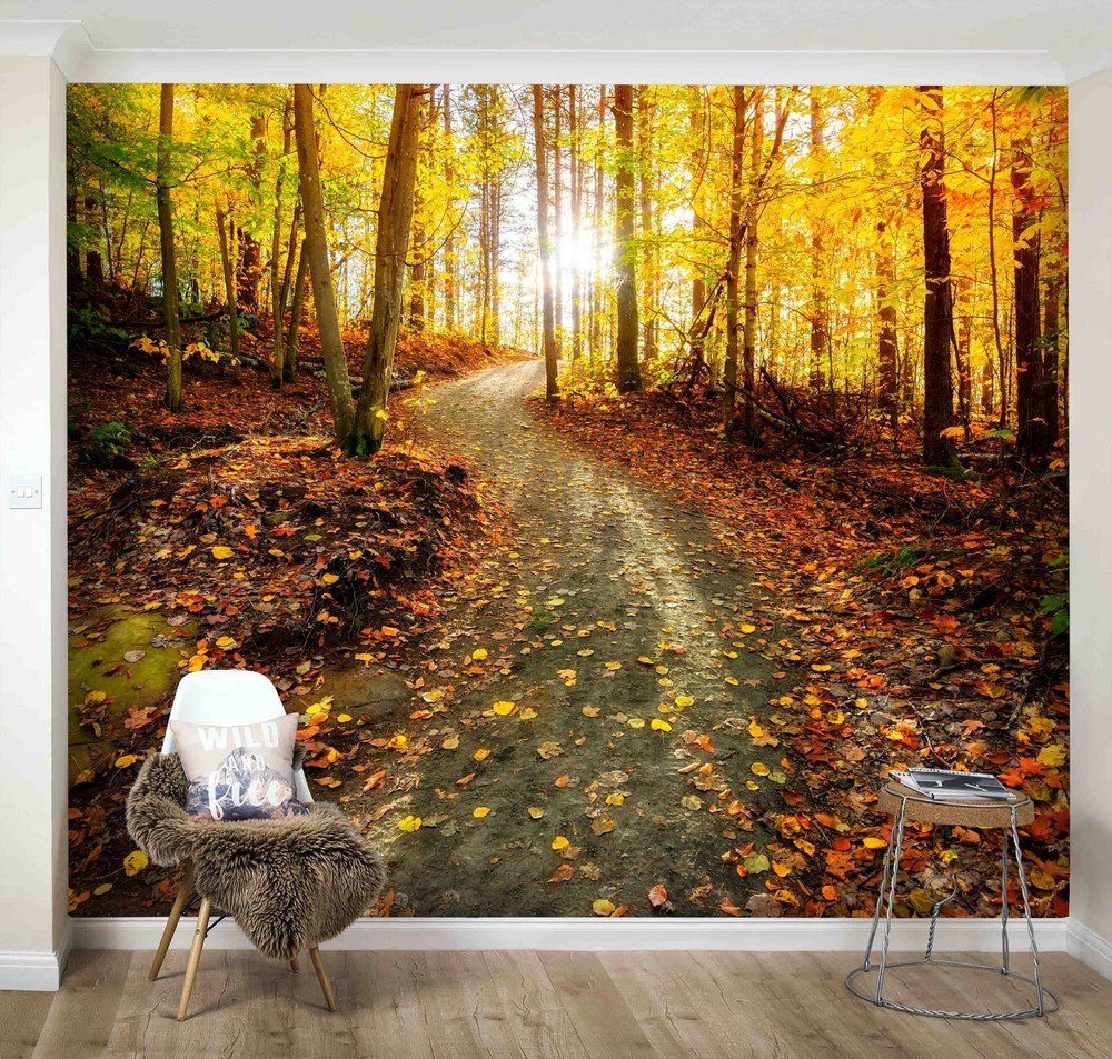 3D Forest Path Autumn Landscape Wall Murals Wallpaper Murals Wall Sticker