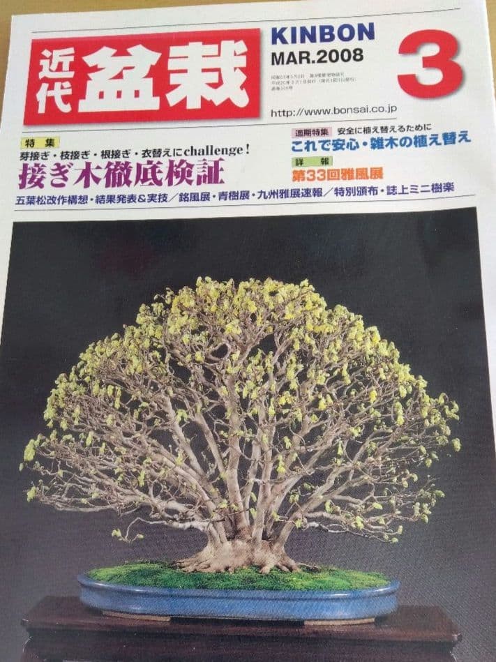 Modern Bonsai March 2008 Japanese Bonsai Grafting Techniques Book 1160 Yen