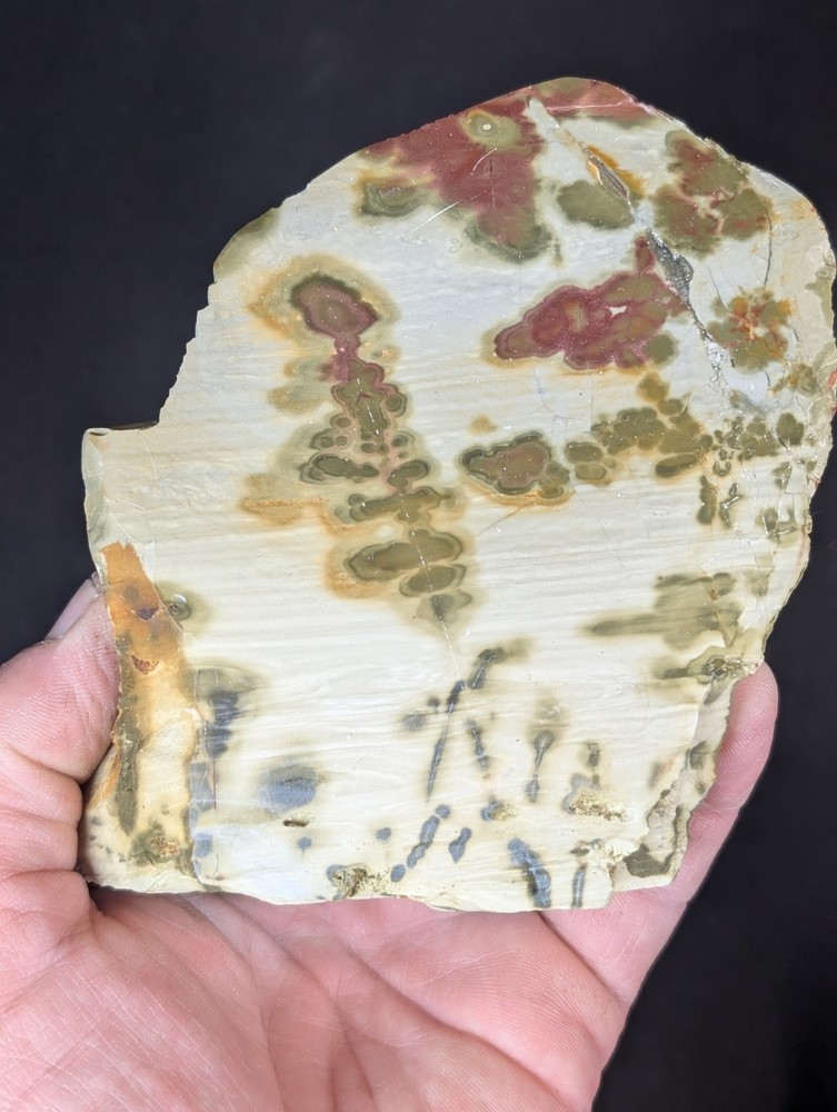 Warpaint Jasper Polished Display Specimen (Oregon)