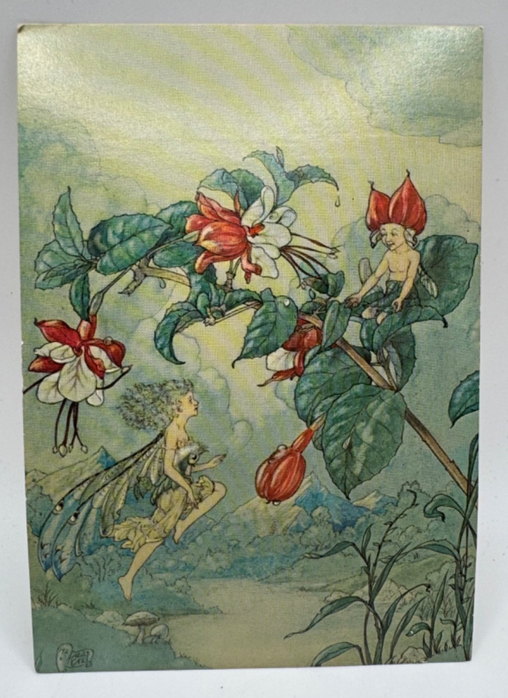 Flower Fairies Fantasy Harold Gaze Art Postcard UNP 4x6 San Francisco 1970s UNP