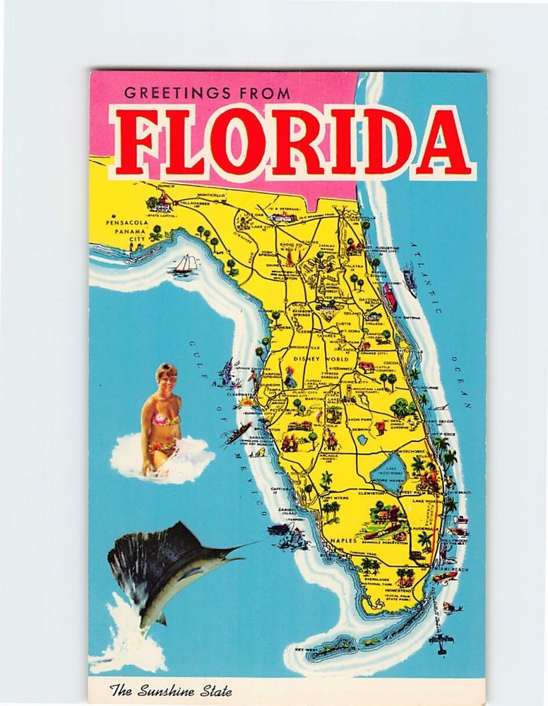 Postcard The Sunshine State Greetings From Florida USA