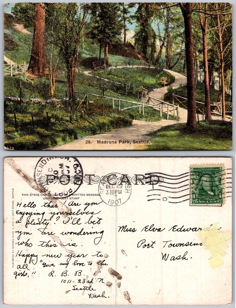 Madrona Park Seattle WA Winding Path Trees Postcard